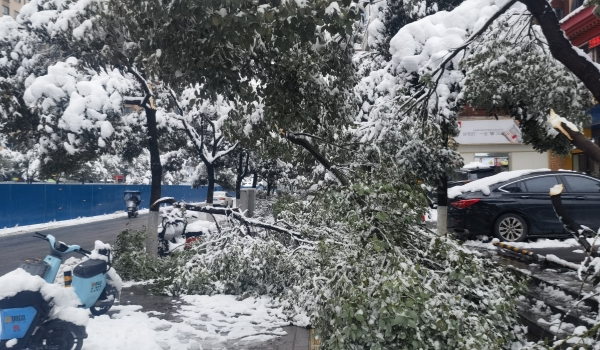 抗擊冰雪，他們在行動